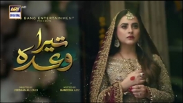 Tera Waada - Episode 24 - 23rd January 2024